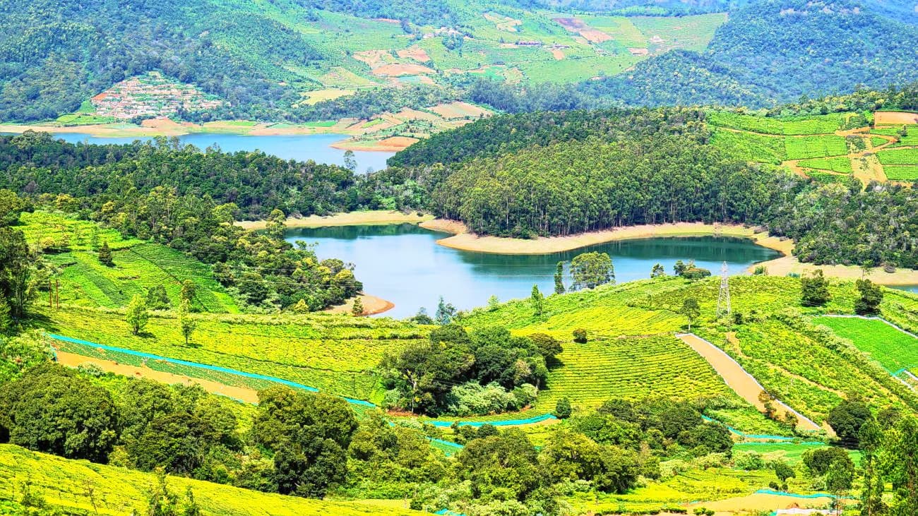 Ooty, Tamil Nadu