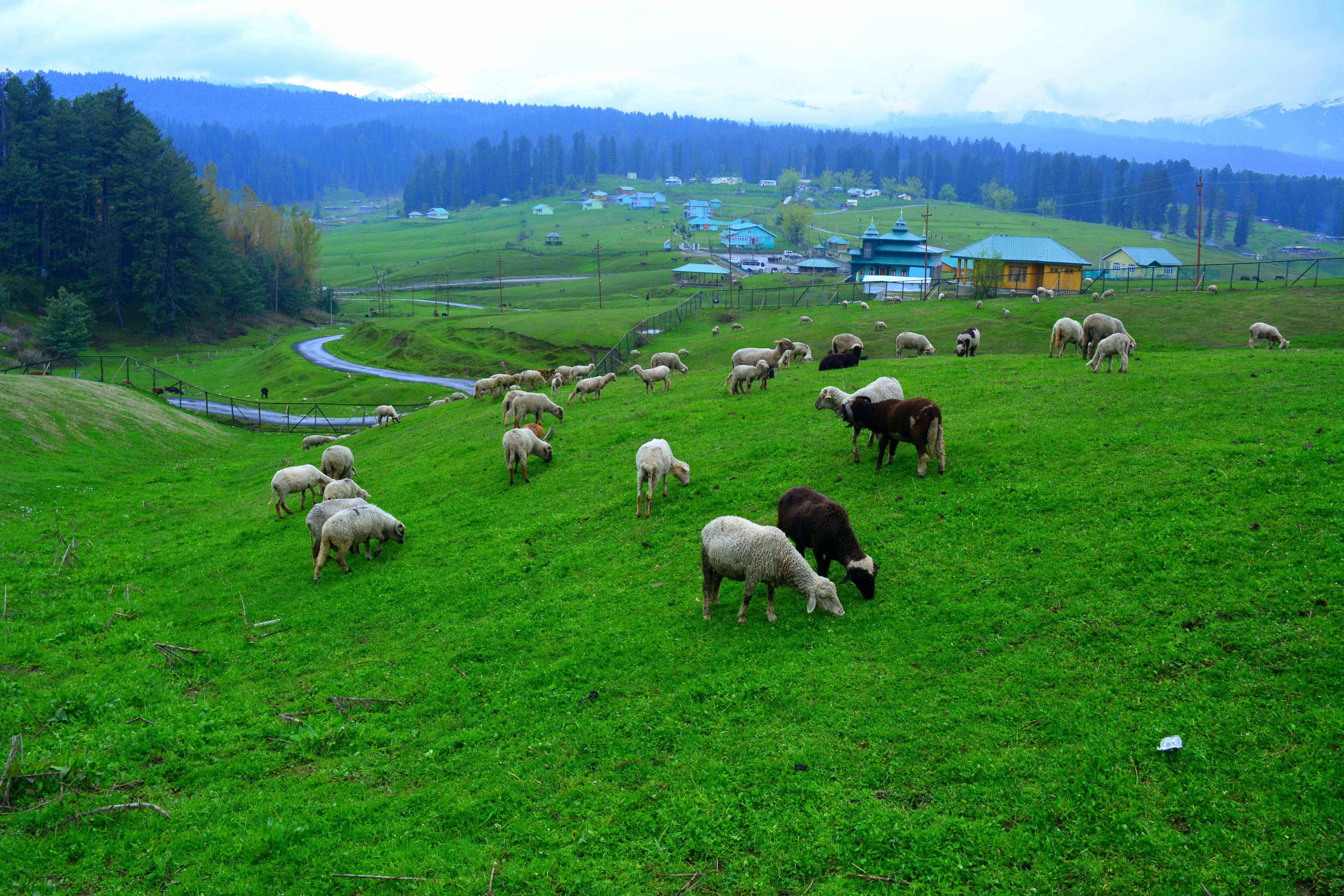 Yusmarg Valley