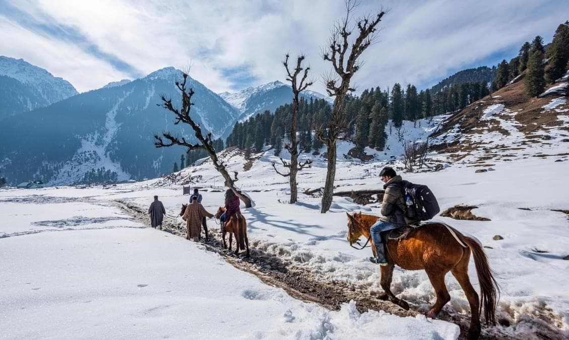 Horse Riding Experience