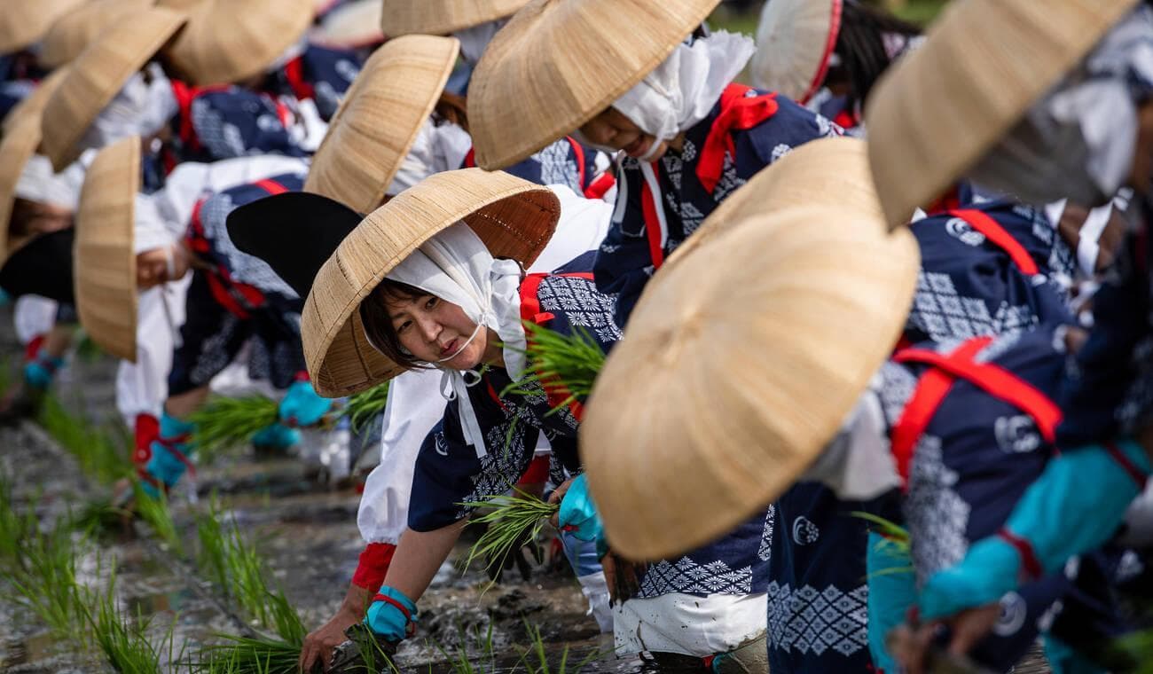Rice Planting Festival
