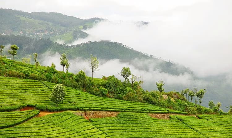 Coonoor, Tamil Nadu