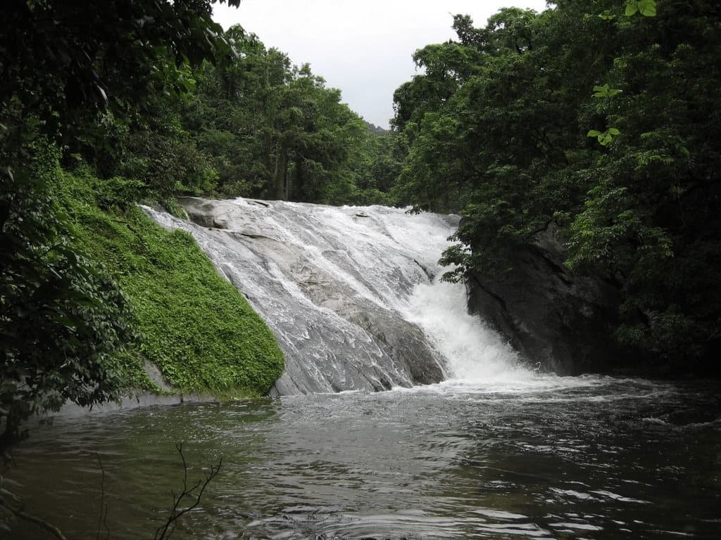 Visit A Local Waterfall