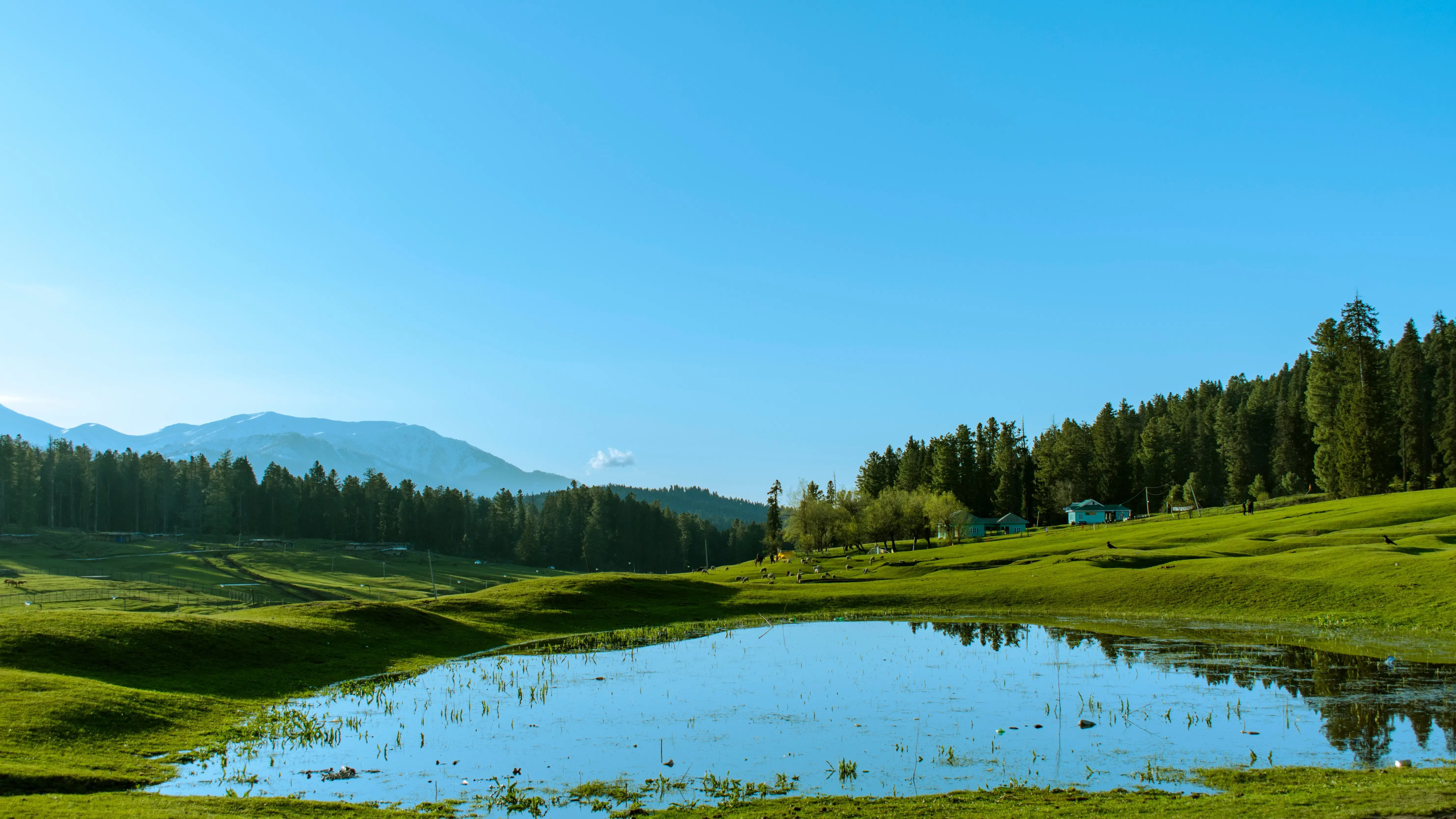 Nilnag Lake (Near Yusmarg)