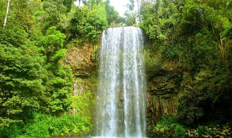 Coorg in July: Best Places to Visit Things To Do & Travel Tips!