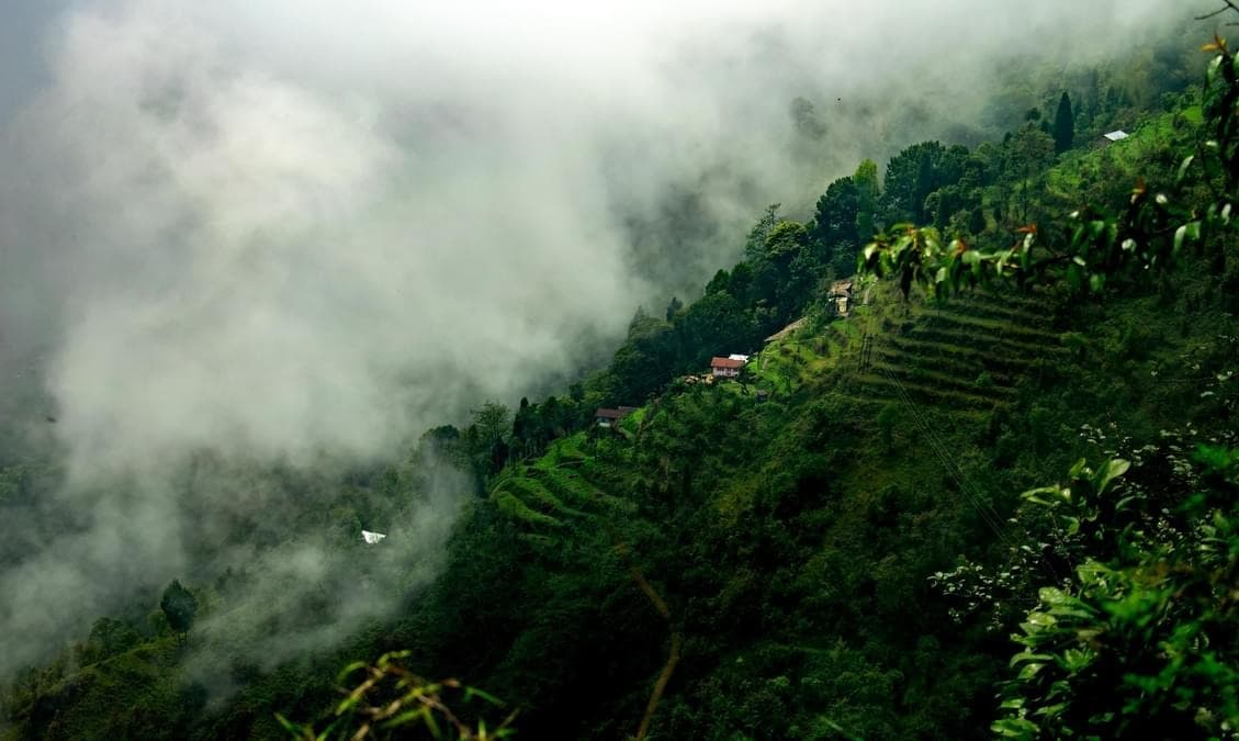 Darjeeling, West Bengal 