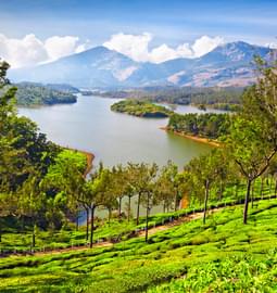 15 Places to Visit Near Bannerghatta Within 100 KM in {{year}}