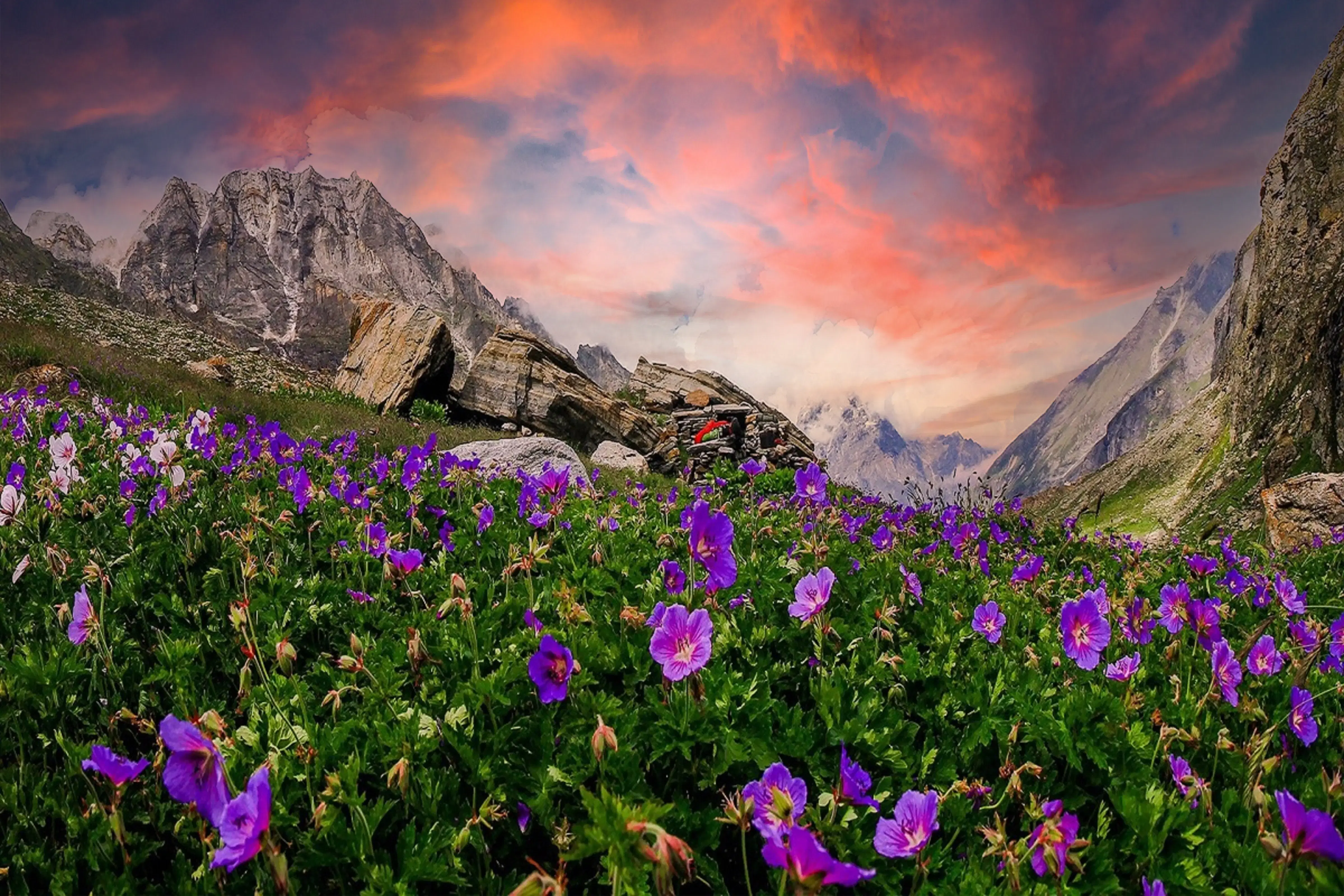 What Is Valley Of Flowers?