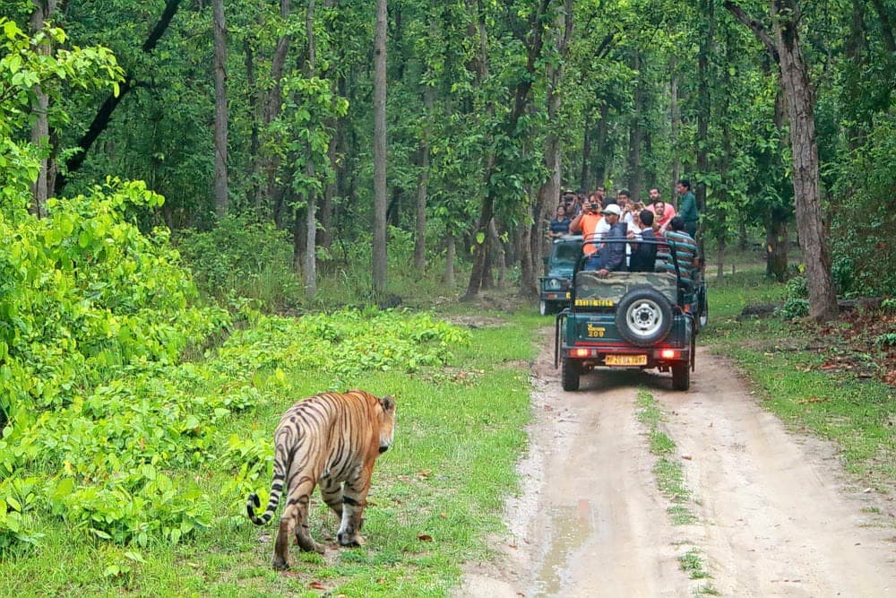Bandipur National Park, Karnataka