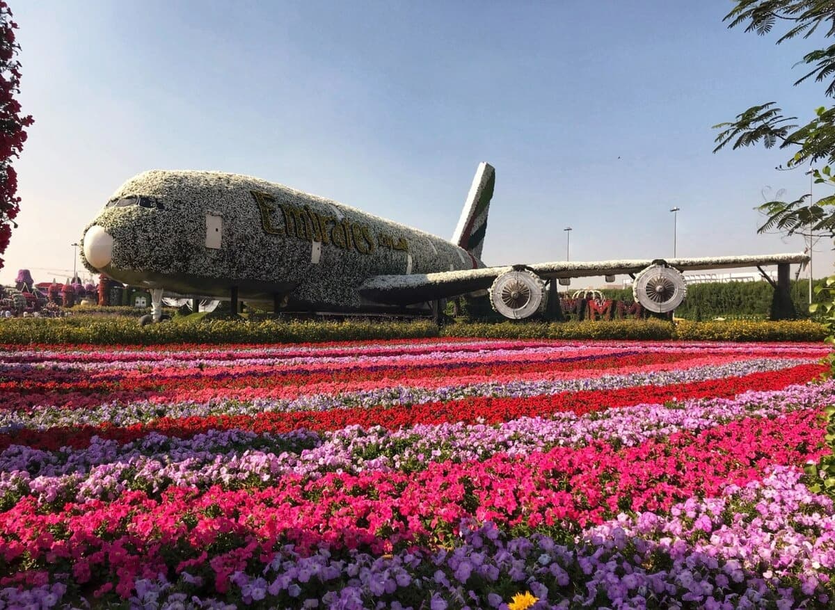 Dubai Miracle Garden 