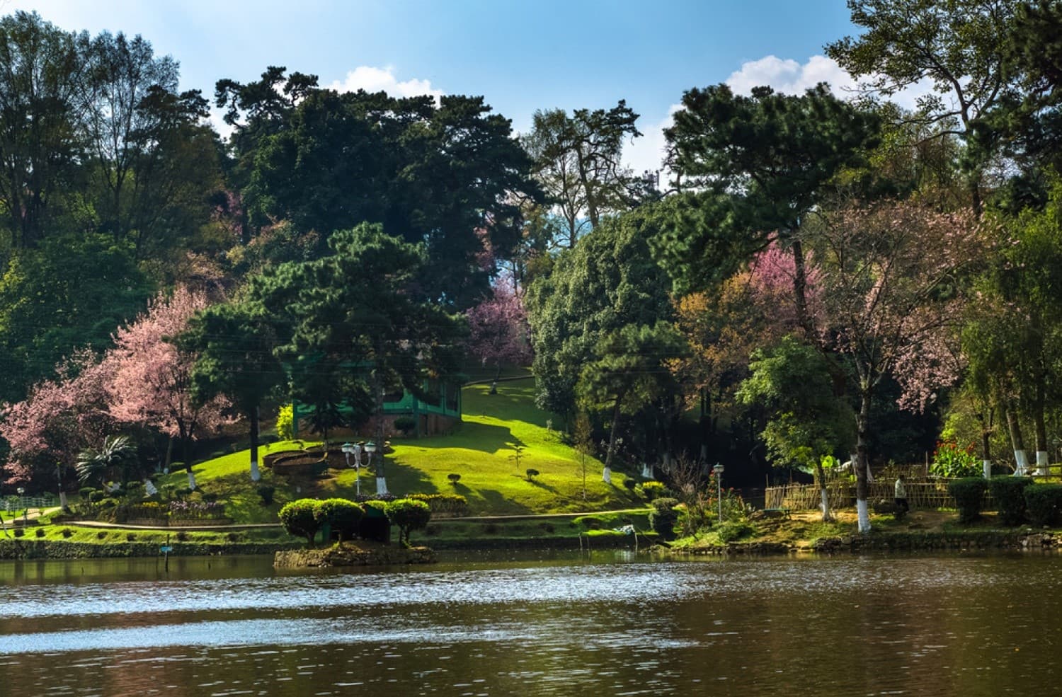 Cherry Blossom Festival Shillong Itinerary