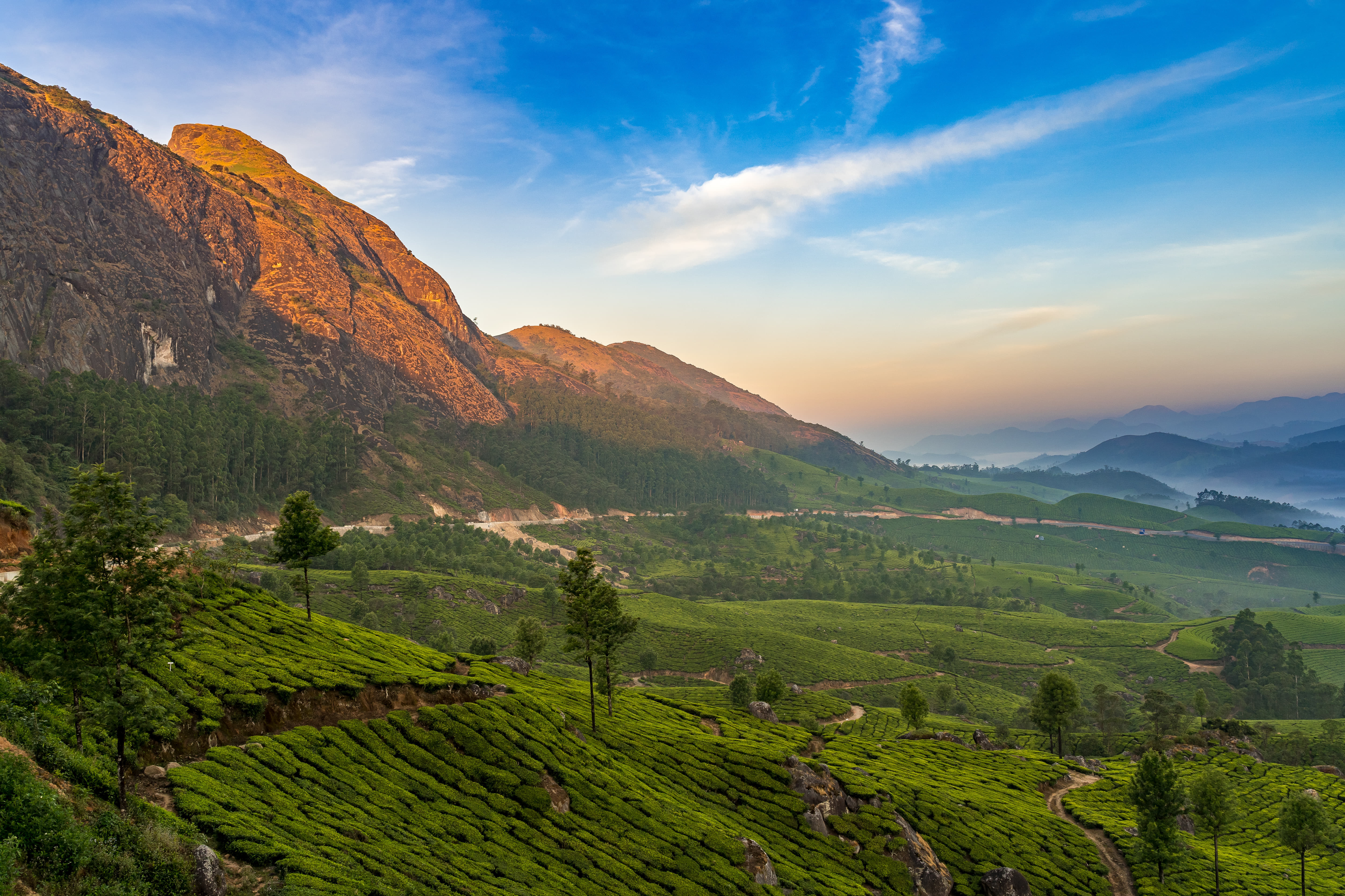 Munnar, Kerala