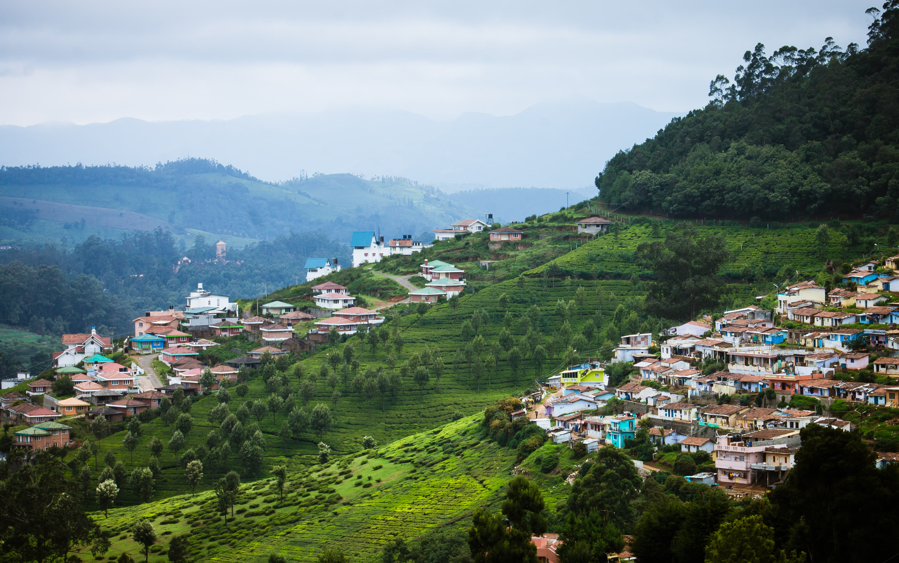 Ooty, Tamil Nadu