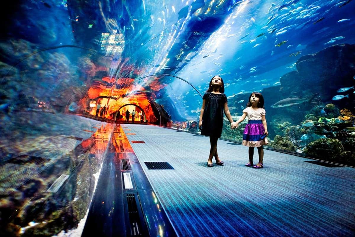 Explore Dubai Aquarium & Underwater Zoo
