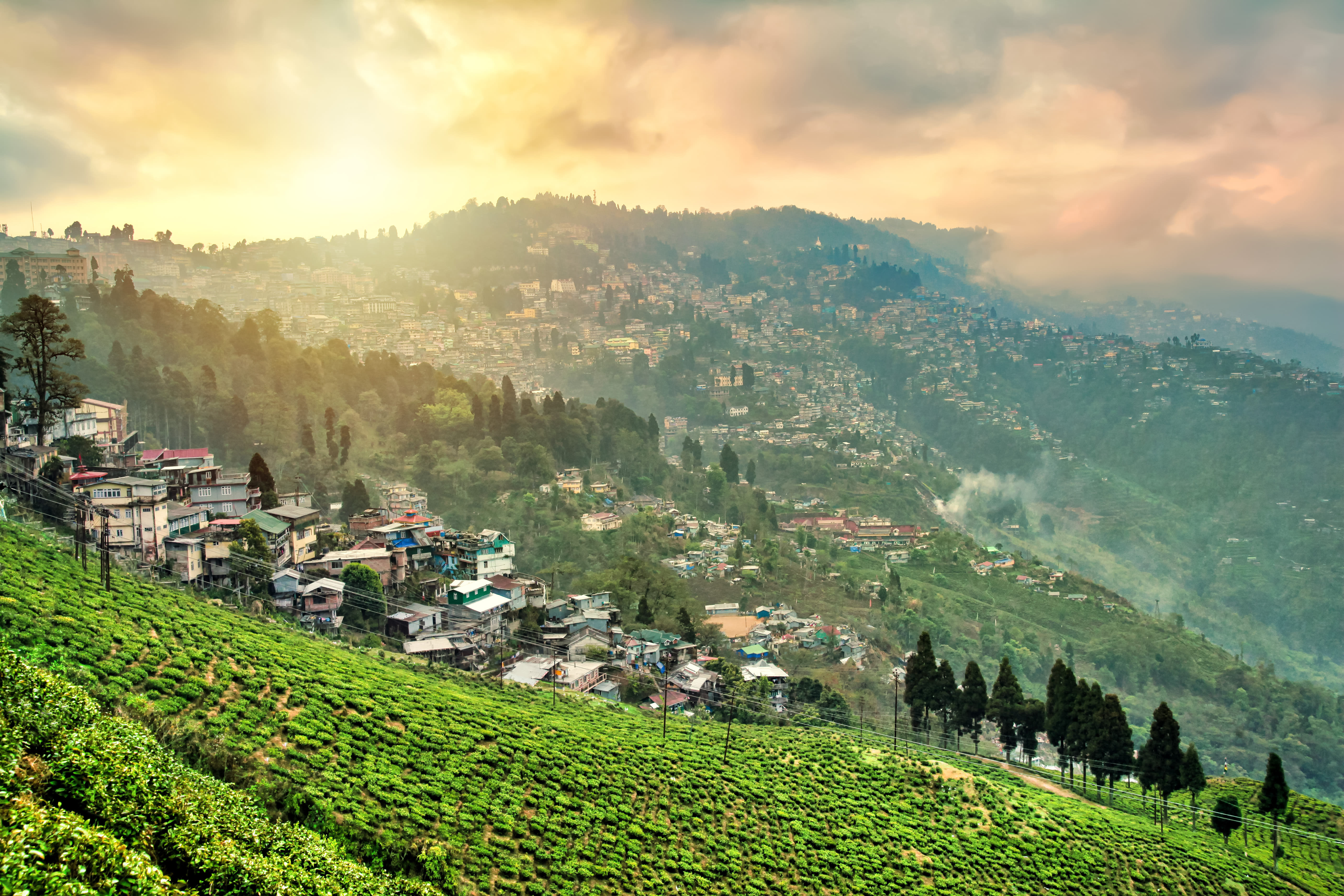 Darjeeling, West Bengal