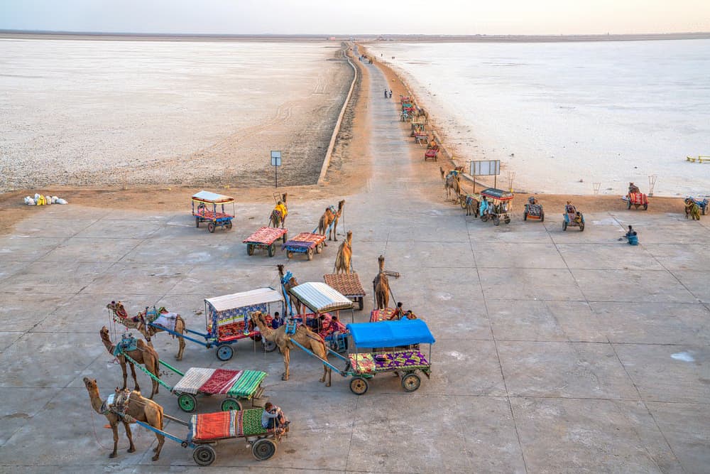 Rann of Kutch, Gujarat