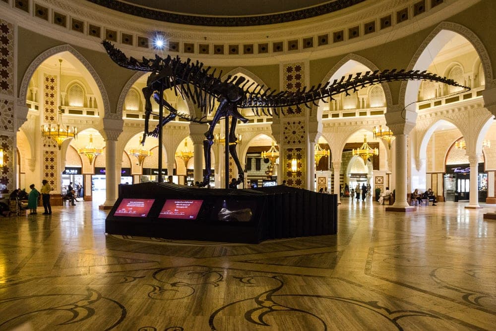 Step Back In Time At Dubai Dino