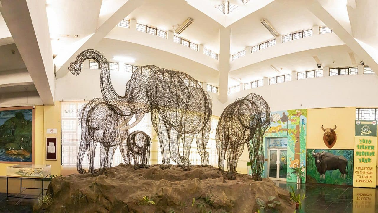 Regional Museum Of Natural History