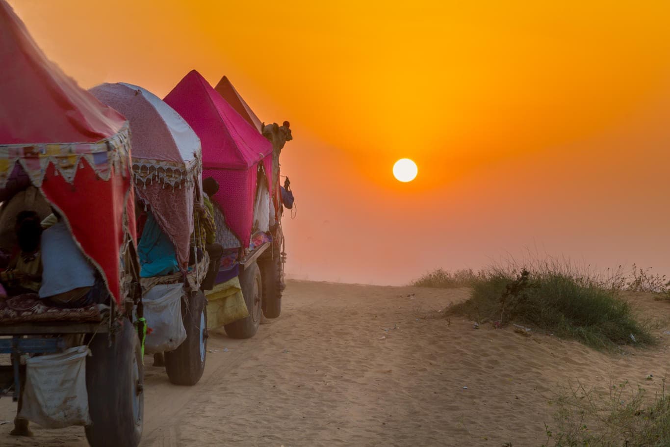 Top Things To Do At The Pushkar Camel Fair