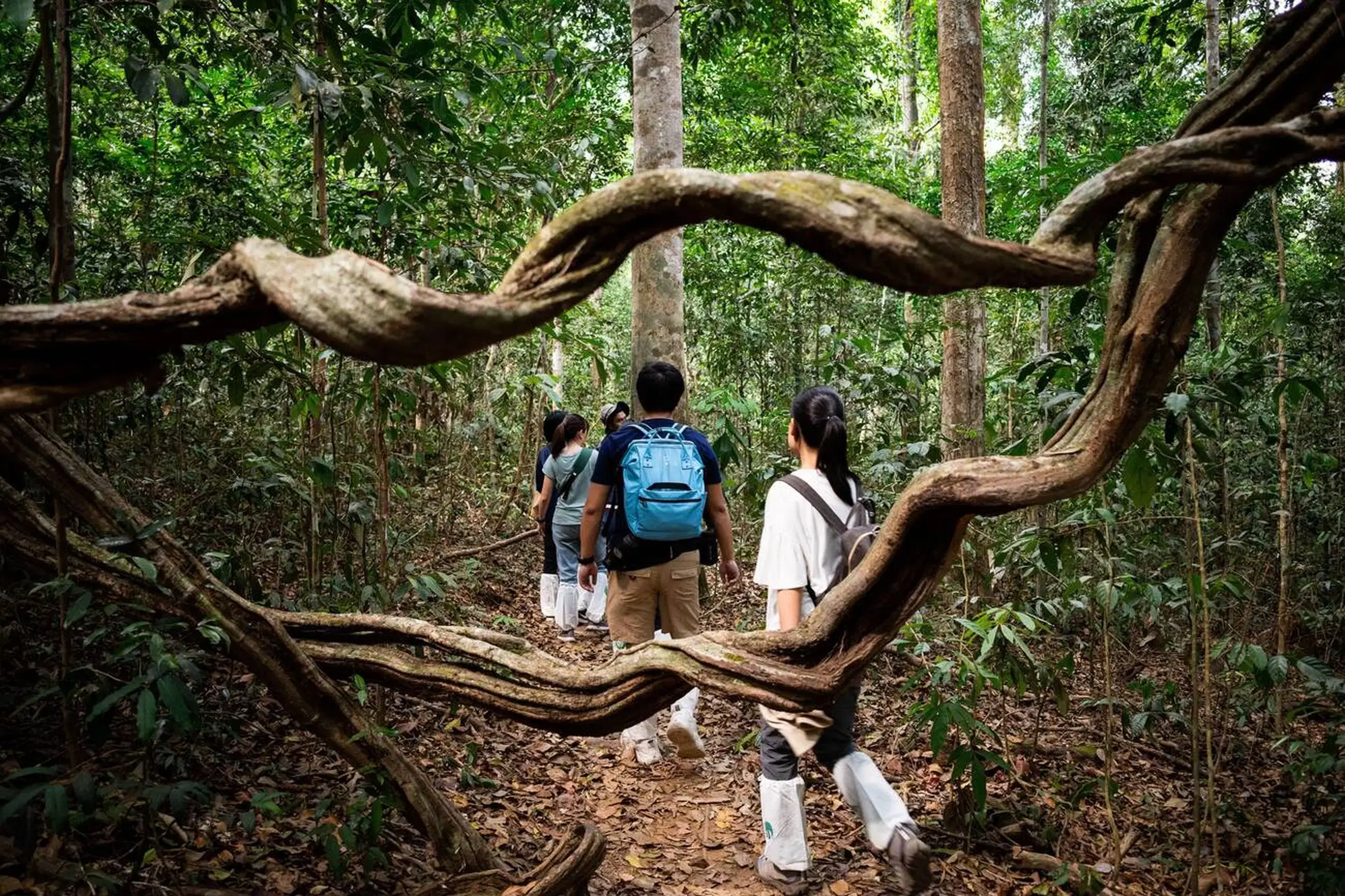 Trek To The Peak At Mount Harriet National Park