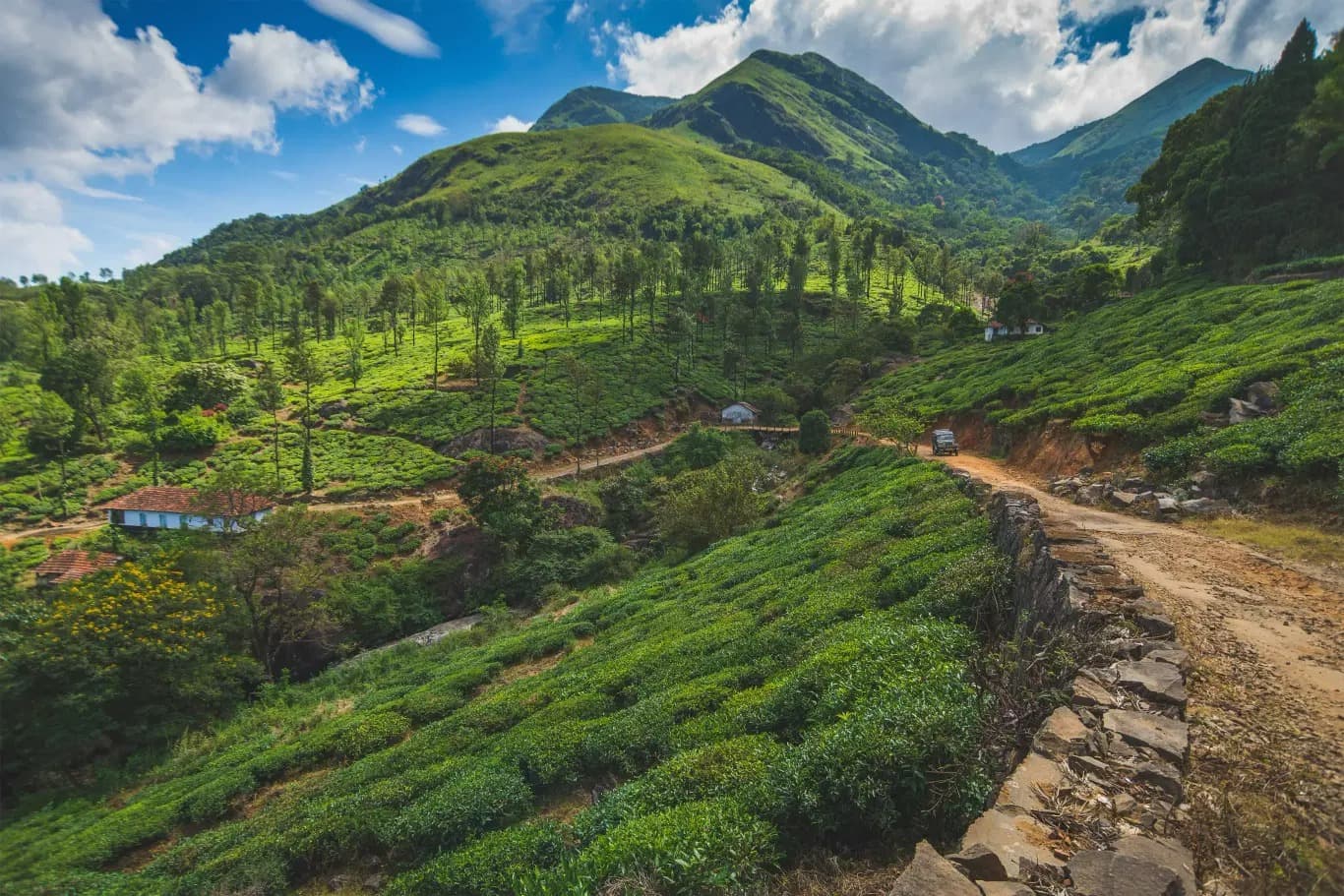 Wayanad, Kerala