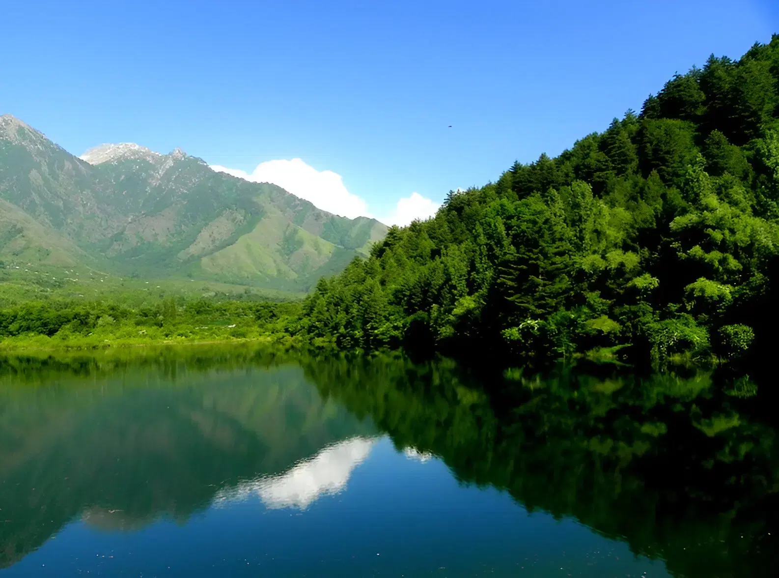 Dachigam National Park