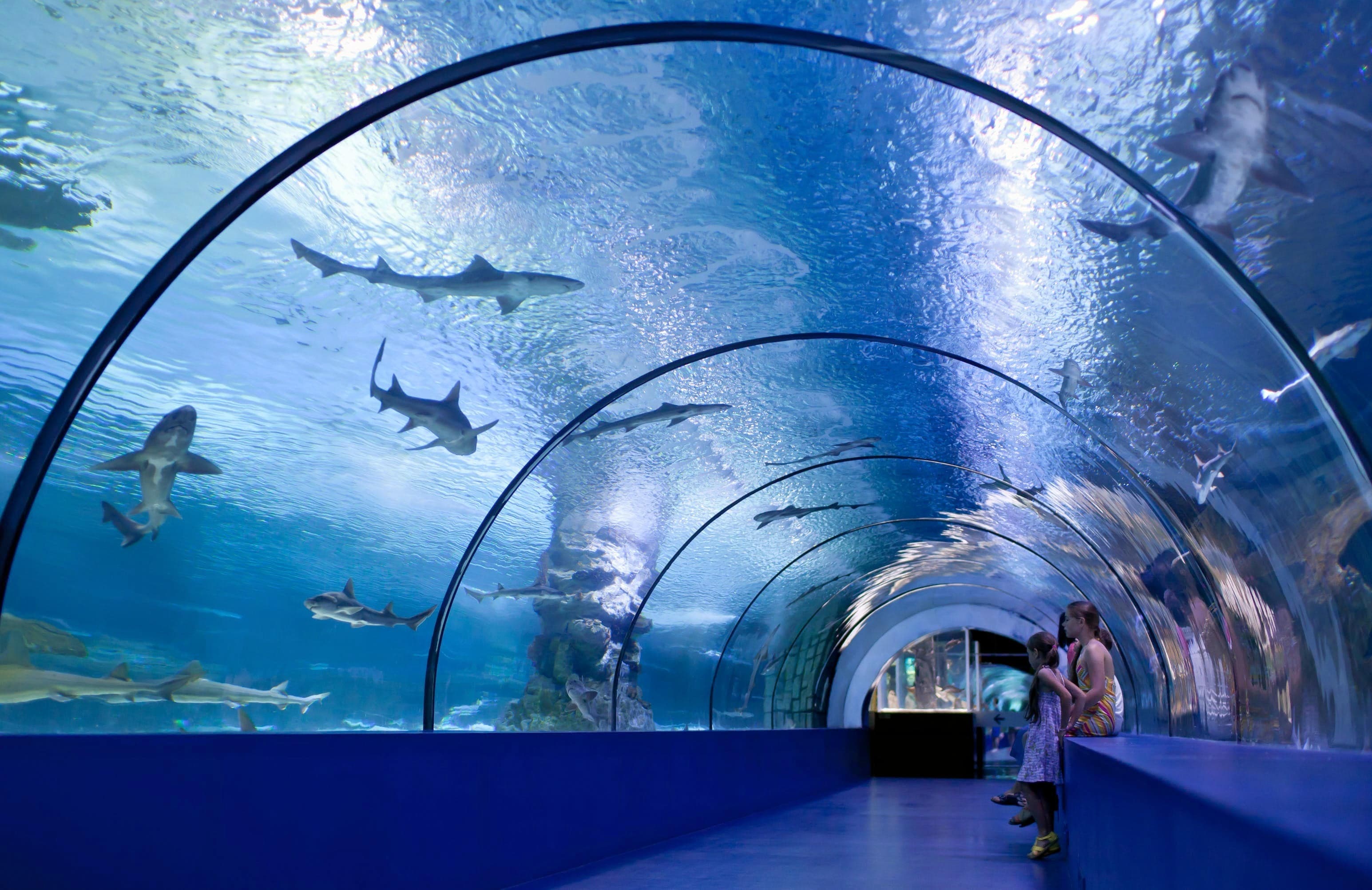 Osaka Aquarium Kaiyukan (Osaka)