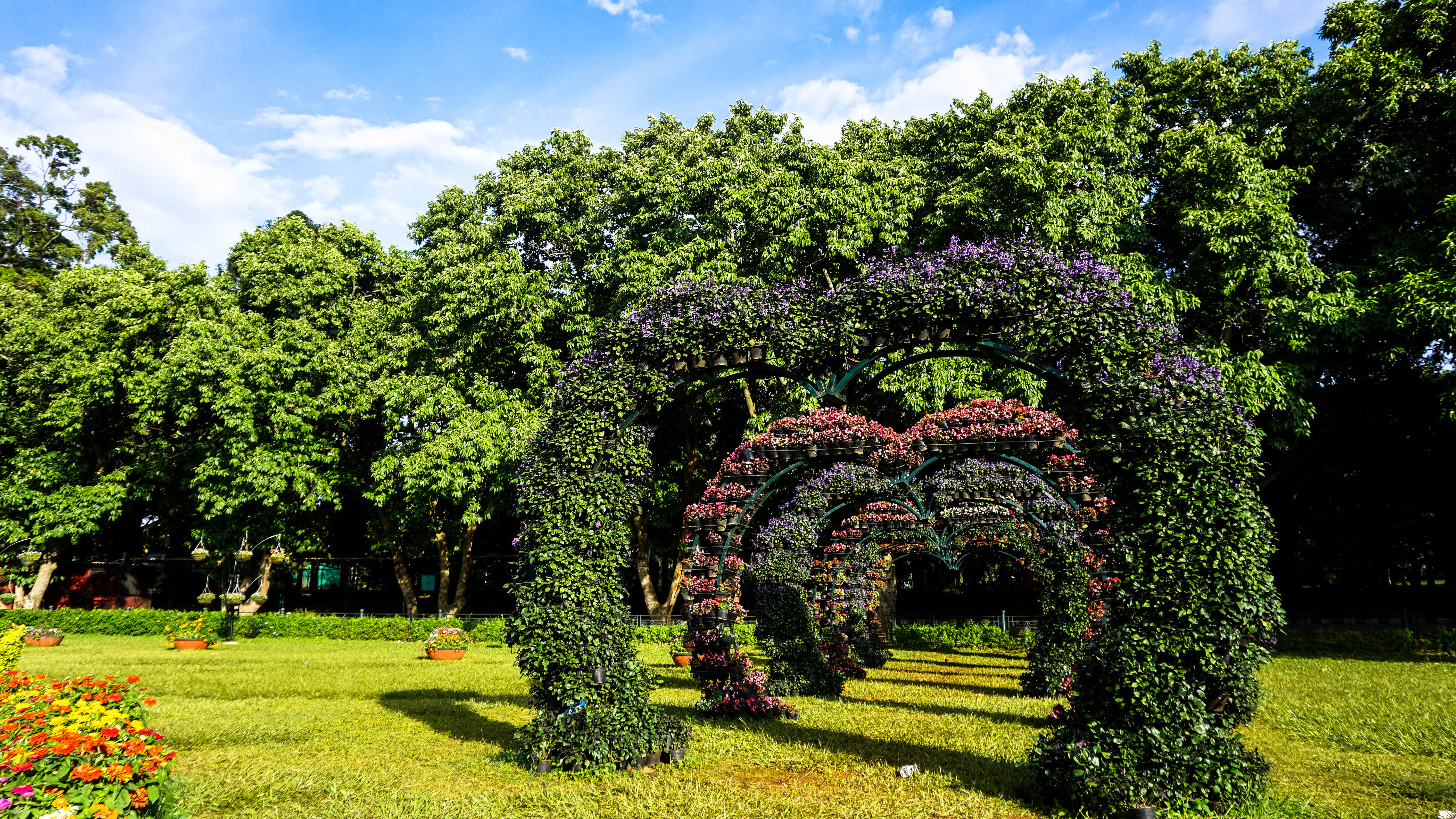 Hyderabad Botanical Garden