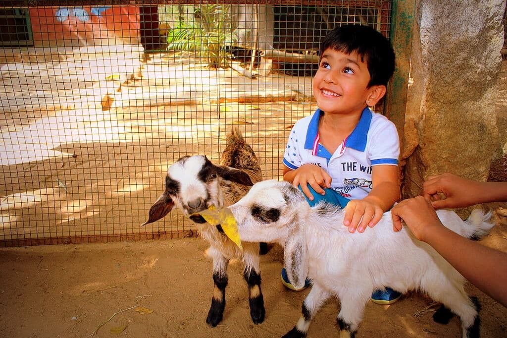 Prani, The Pet Sanctuary