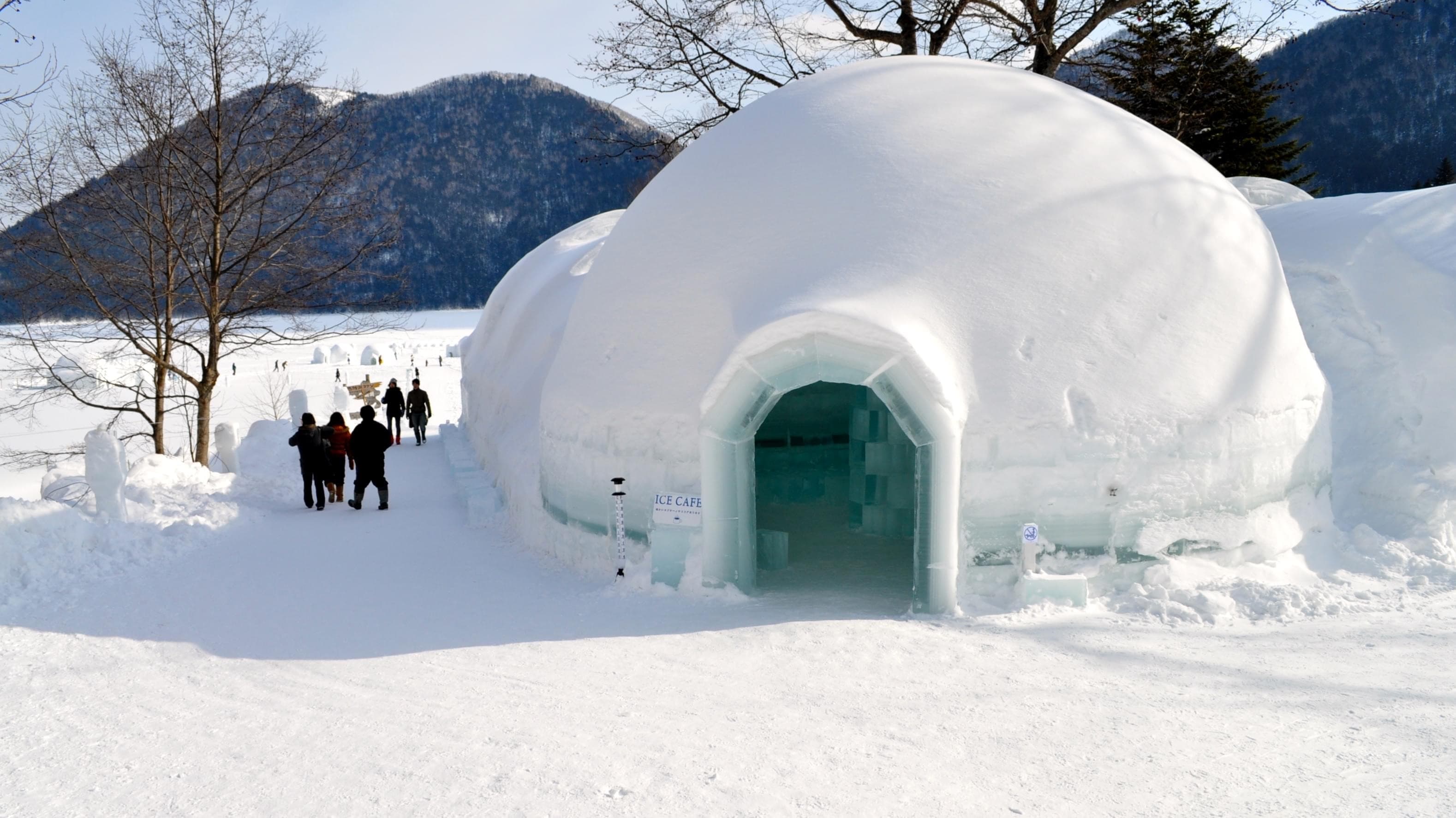 Igloo Café