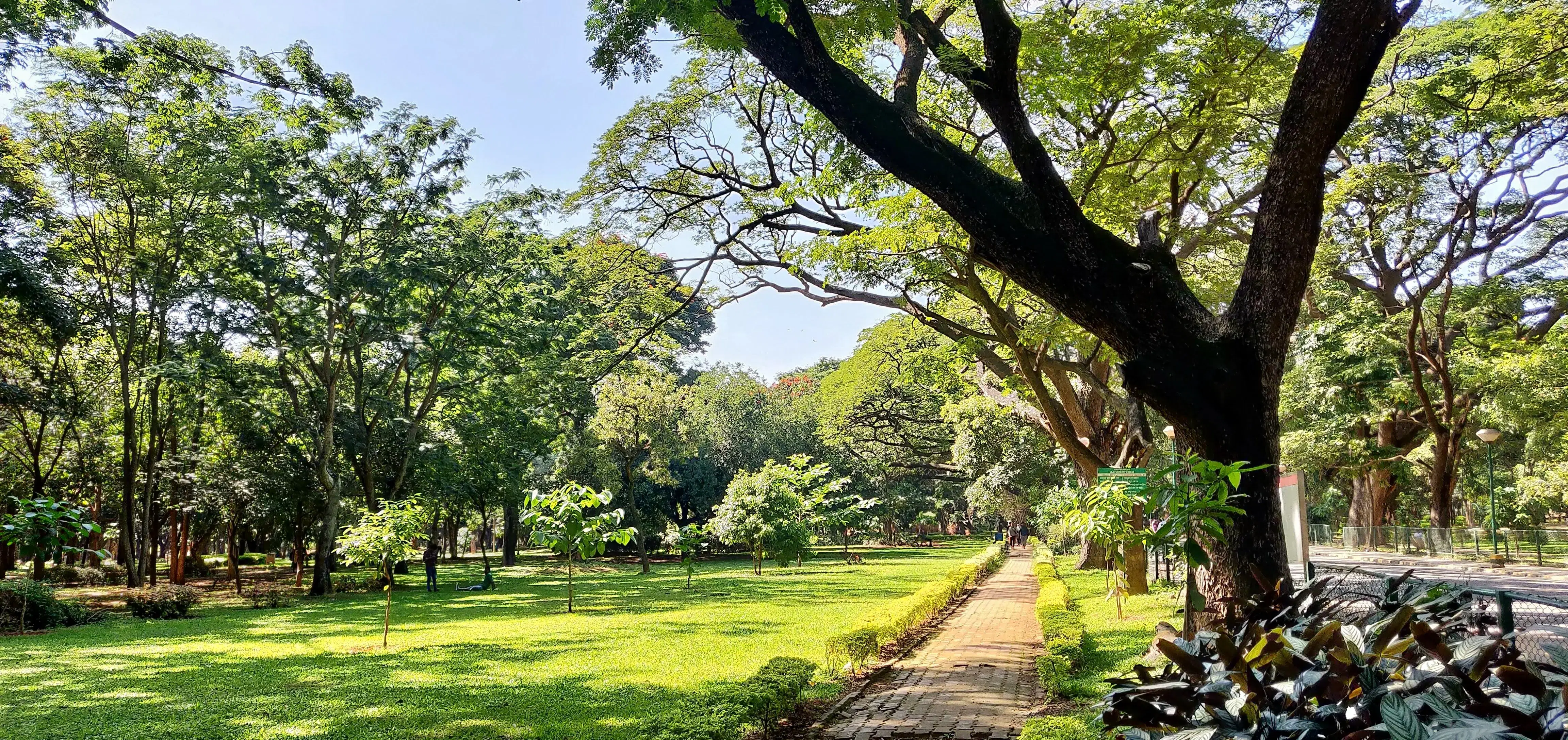 Cubbon Park 