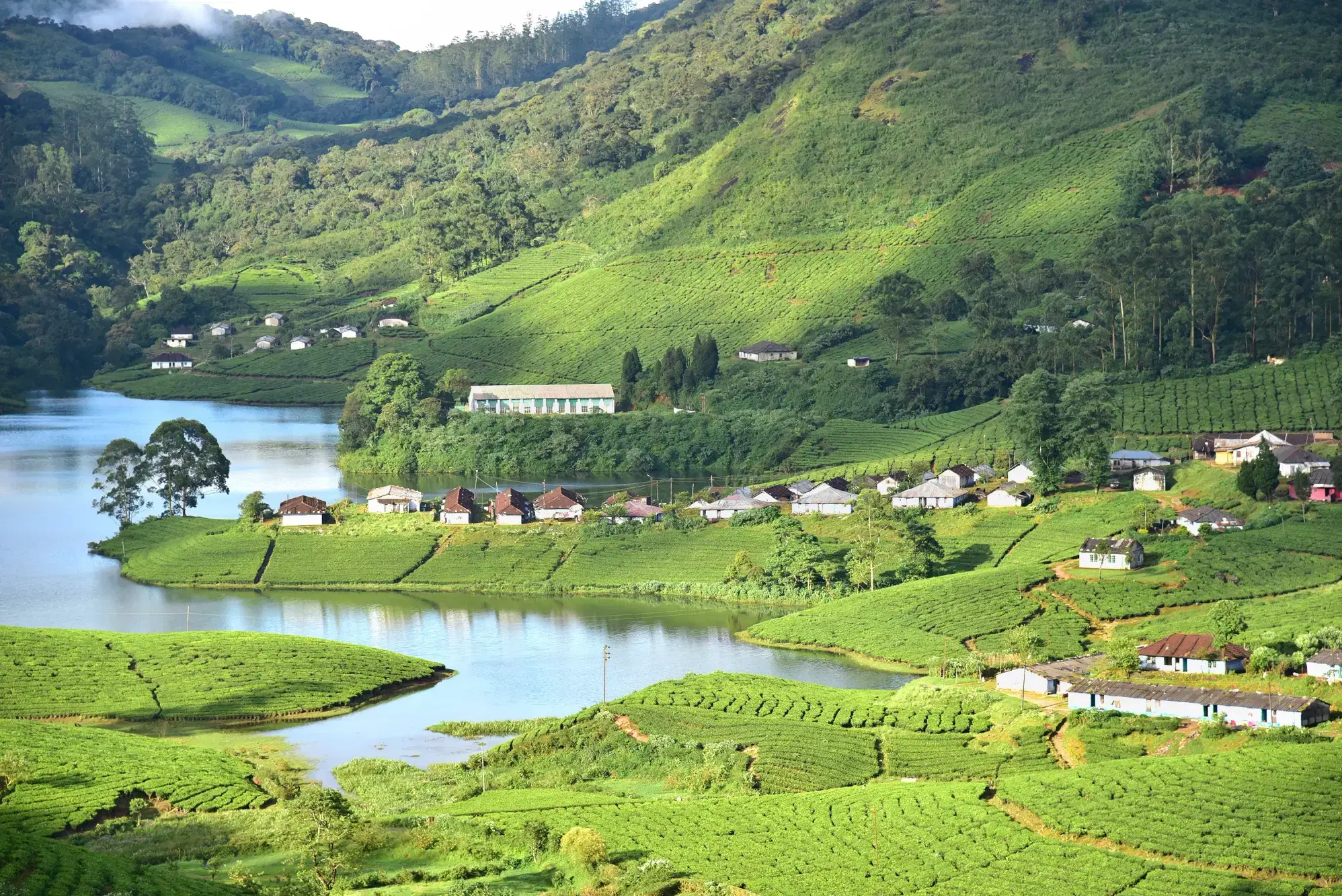 Responsible Travel In Munnar