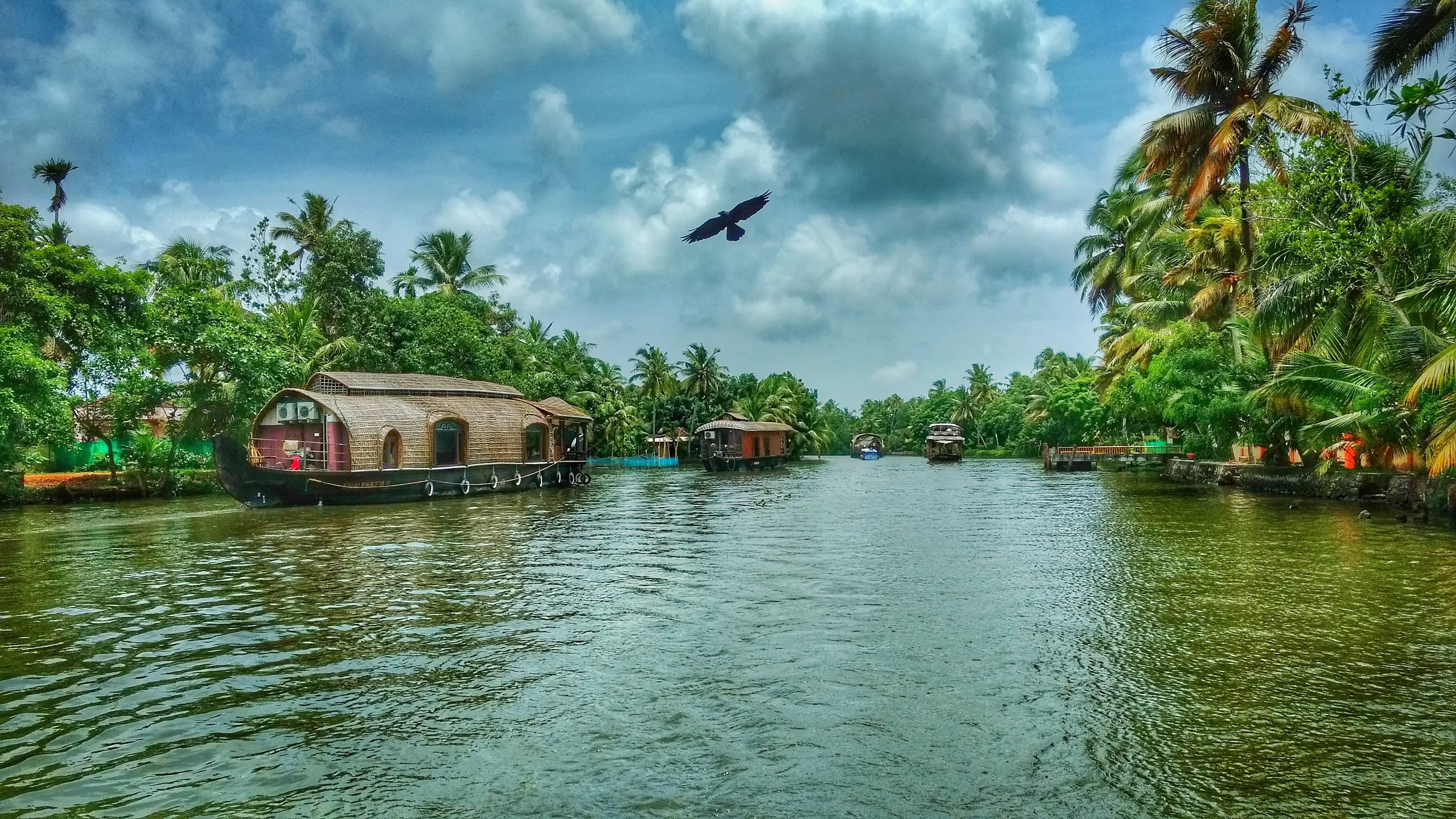 Cruise Through Kerala’s Winter Backwaters