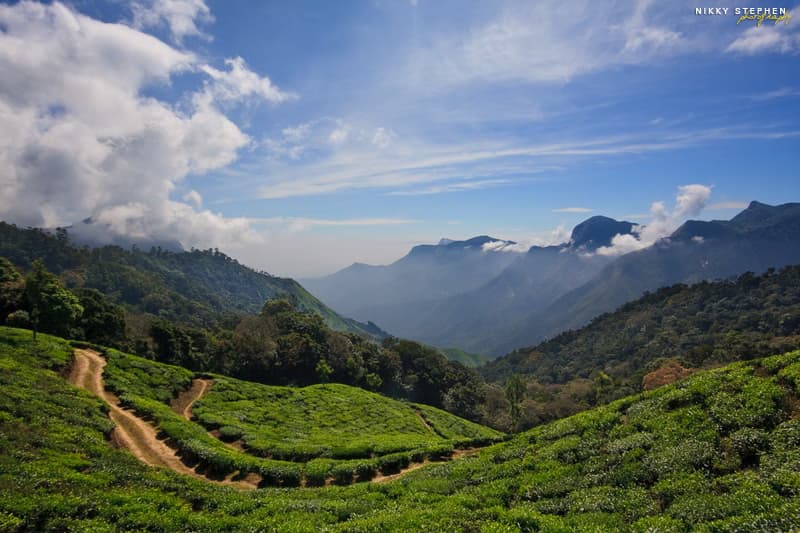 12 Reasons to Visit Kerala in Winter