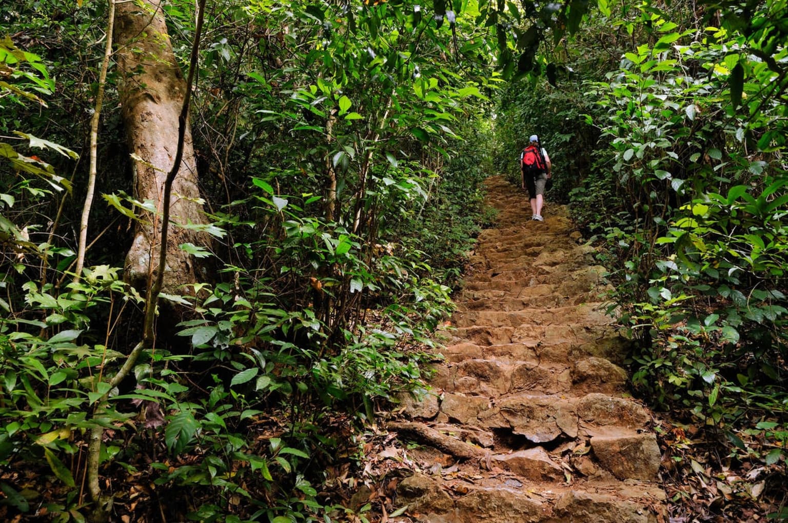 Cat Ba National Park