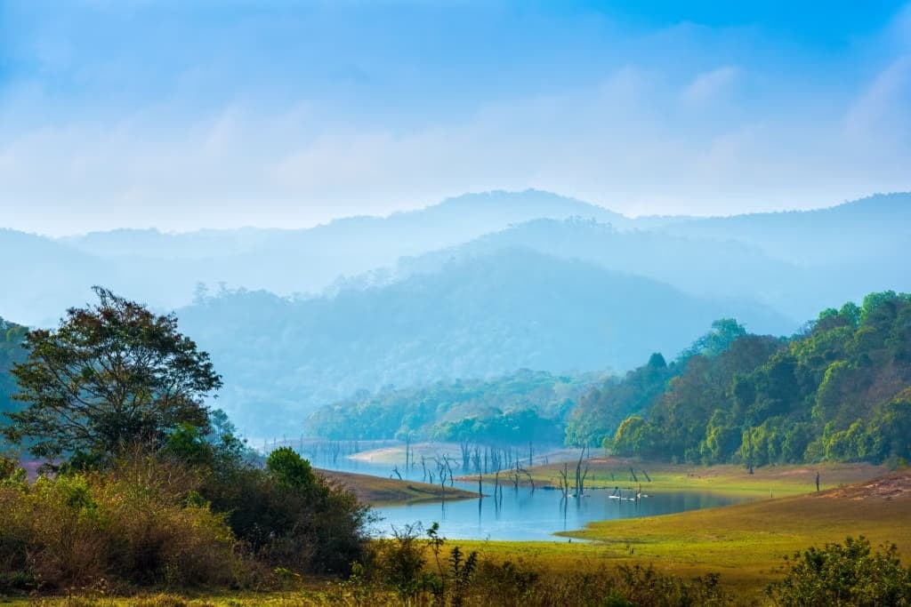 10 Places to Visit in Thekkady in 1 Day: Complete Guide