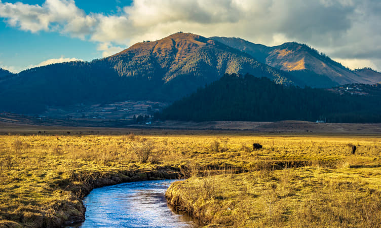 15 Must-Visit Photography Spots in Bhutan | Insta-Worthy Places