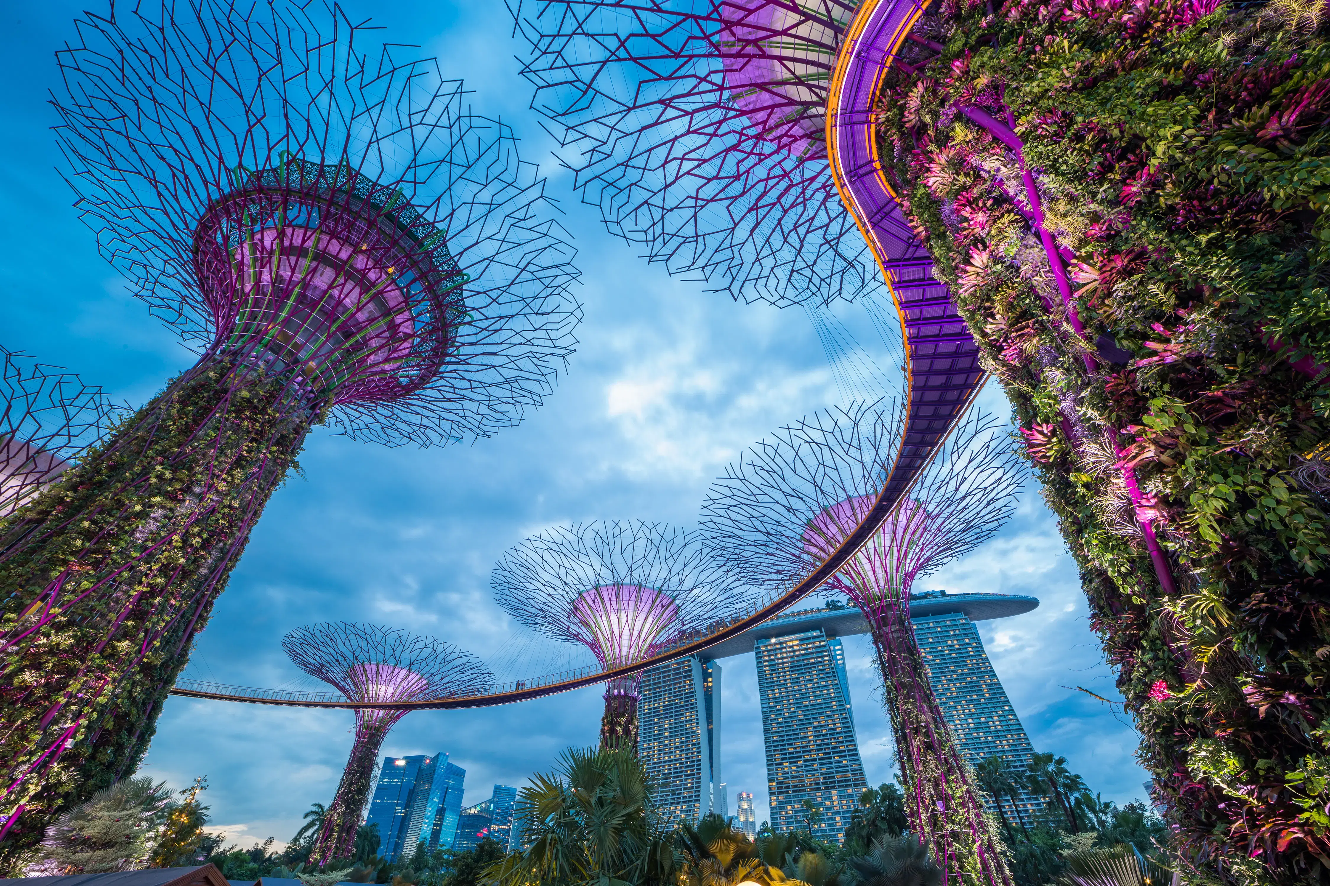 5 Best Singapore Light Show Events You Must See in {{Year}}