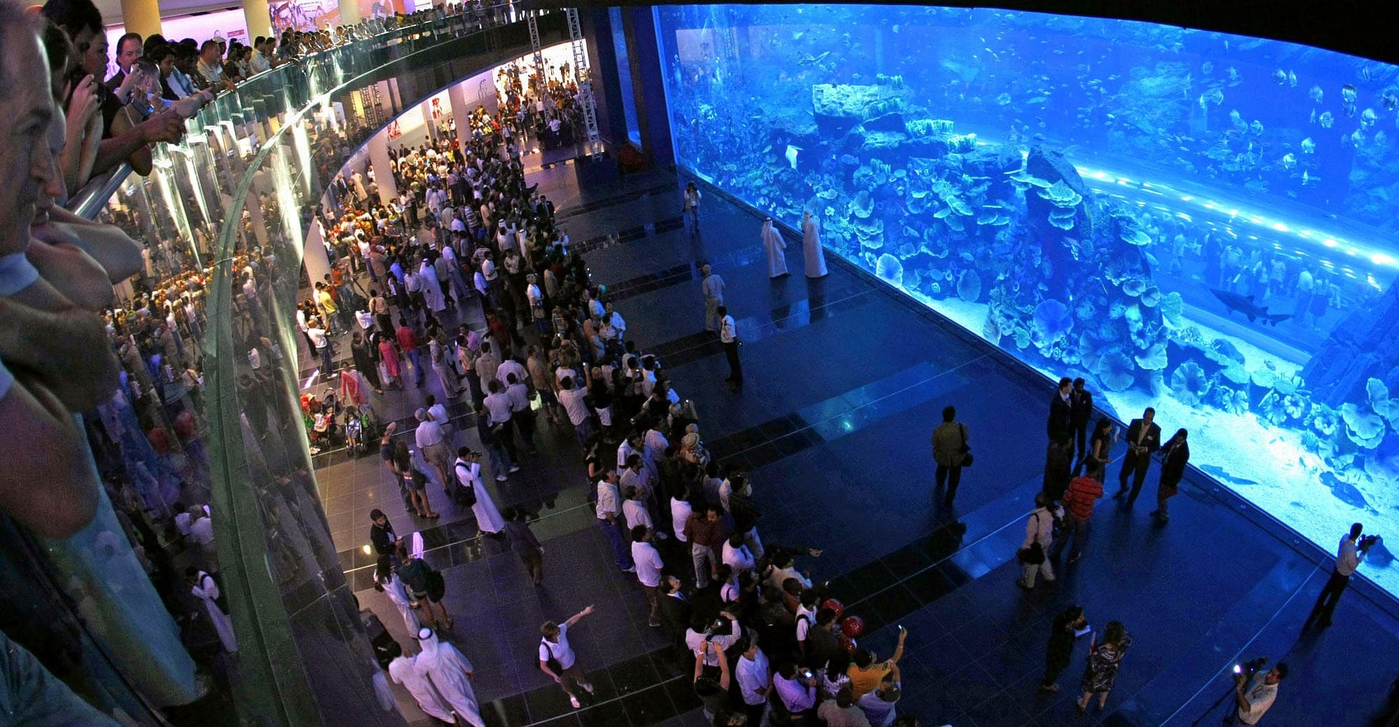 Dubai Aquarium & Underwater Zoo