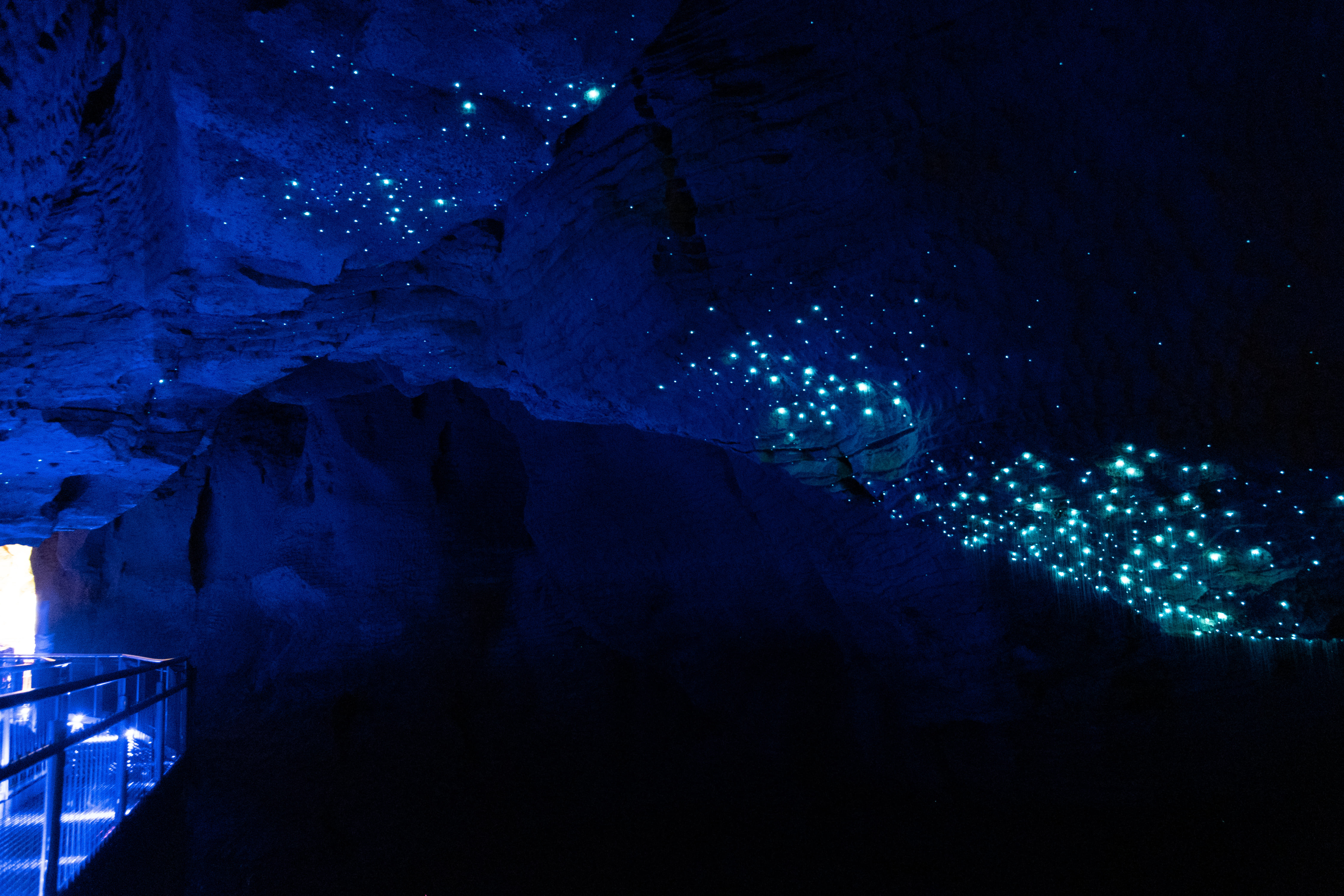 Waitomo Glowworm Caves