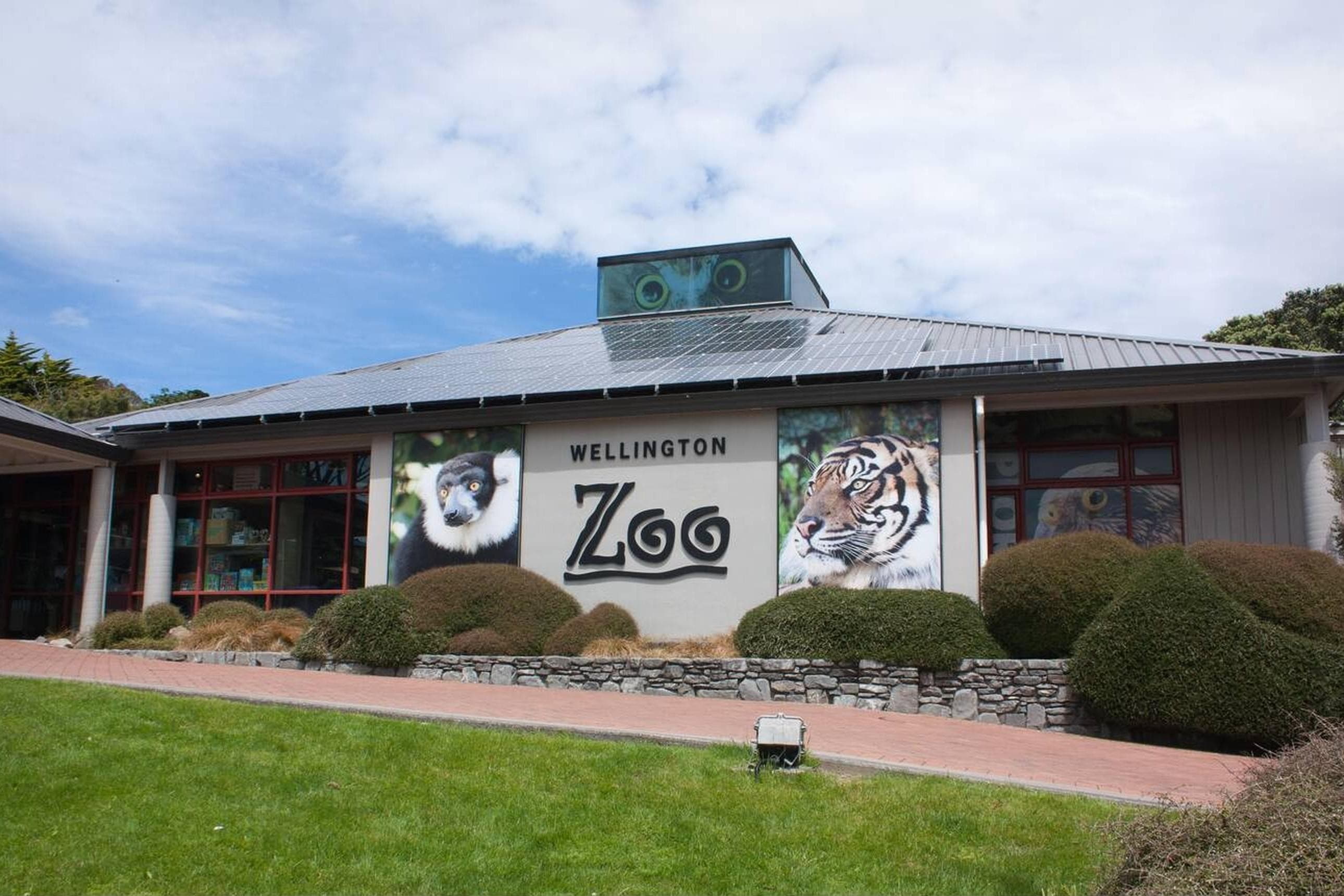 Wellington Zoo Close Encounters