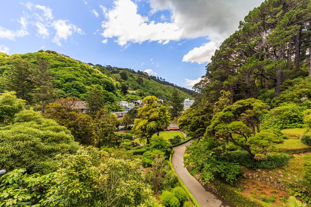 Wander Through the Wellington Botanic Garden