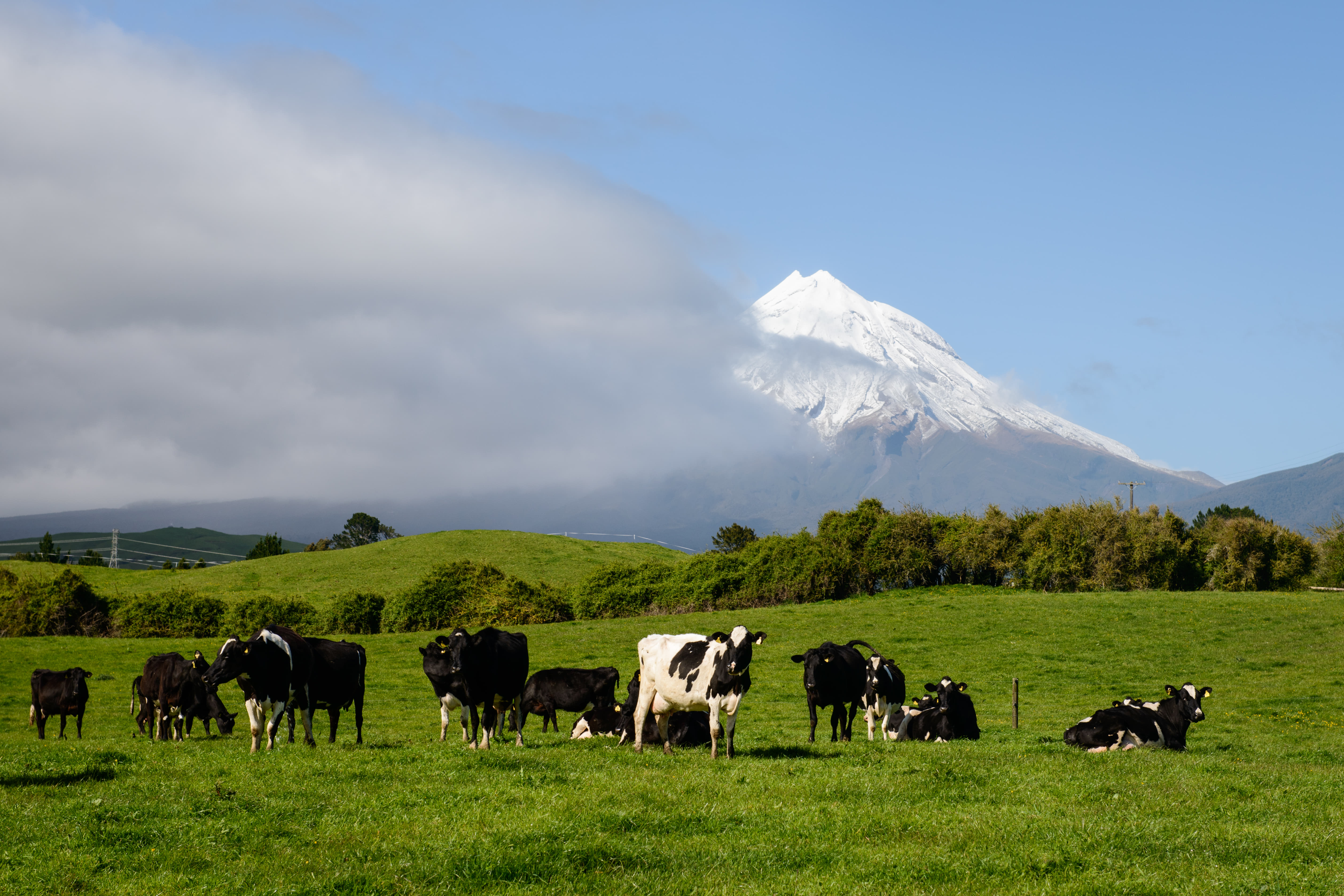 Mount Taranaki