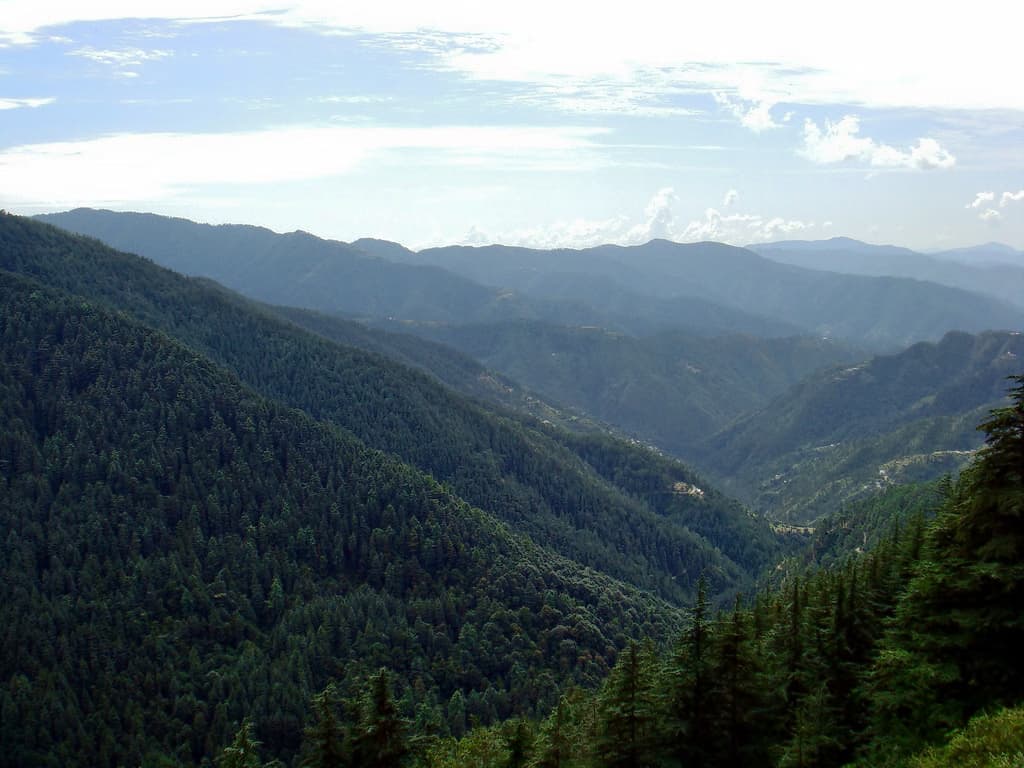 Explore The Majestic Green Valley 