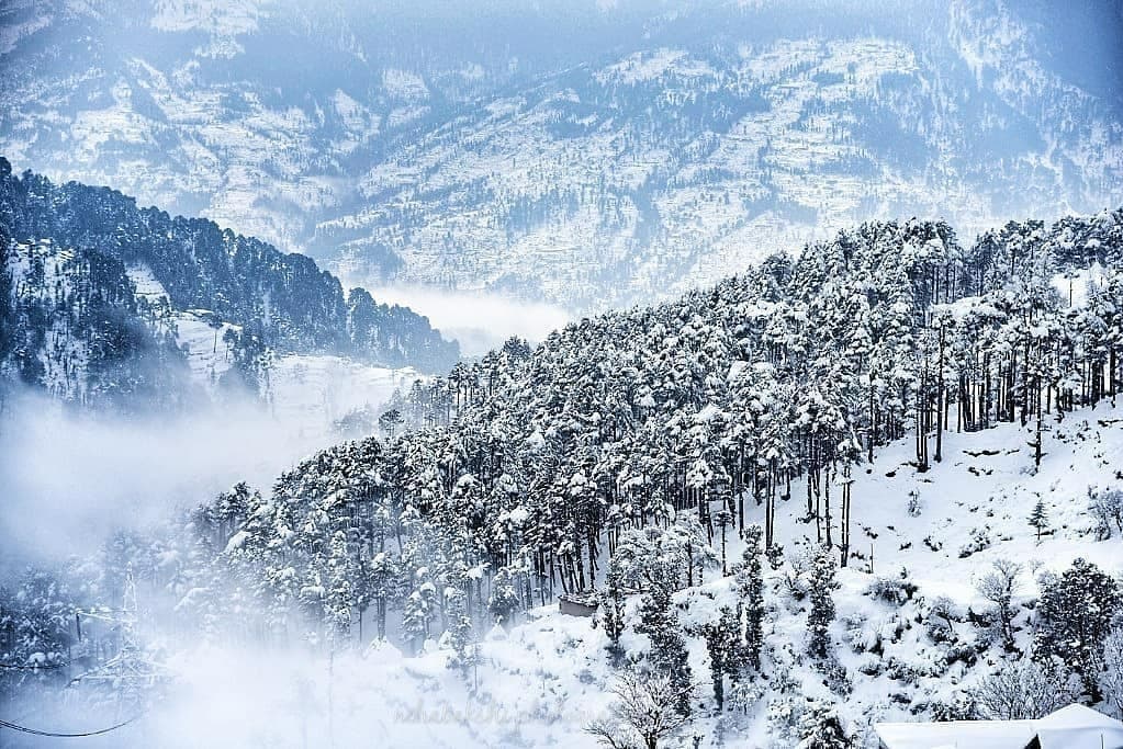 Patnitop in December: Best Things to Do & Winter Travel Guide