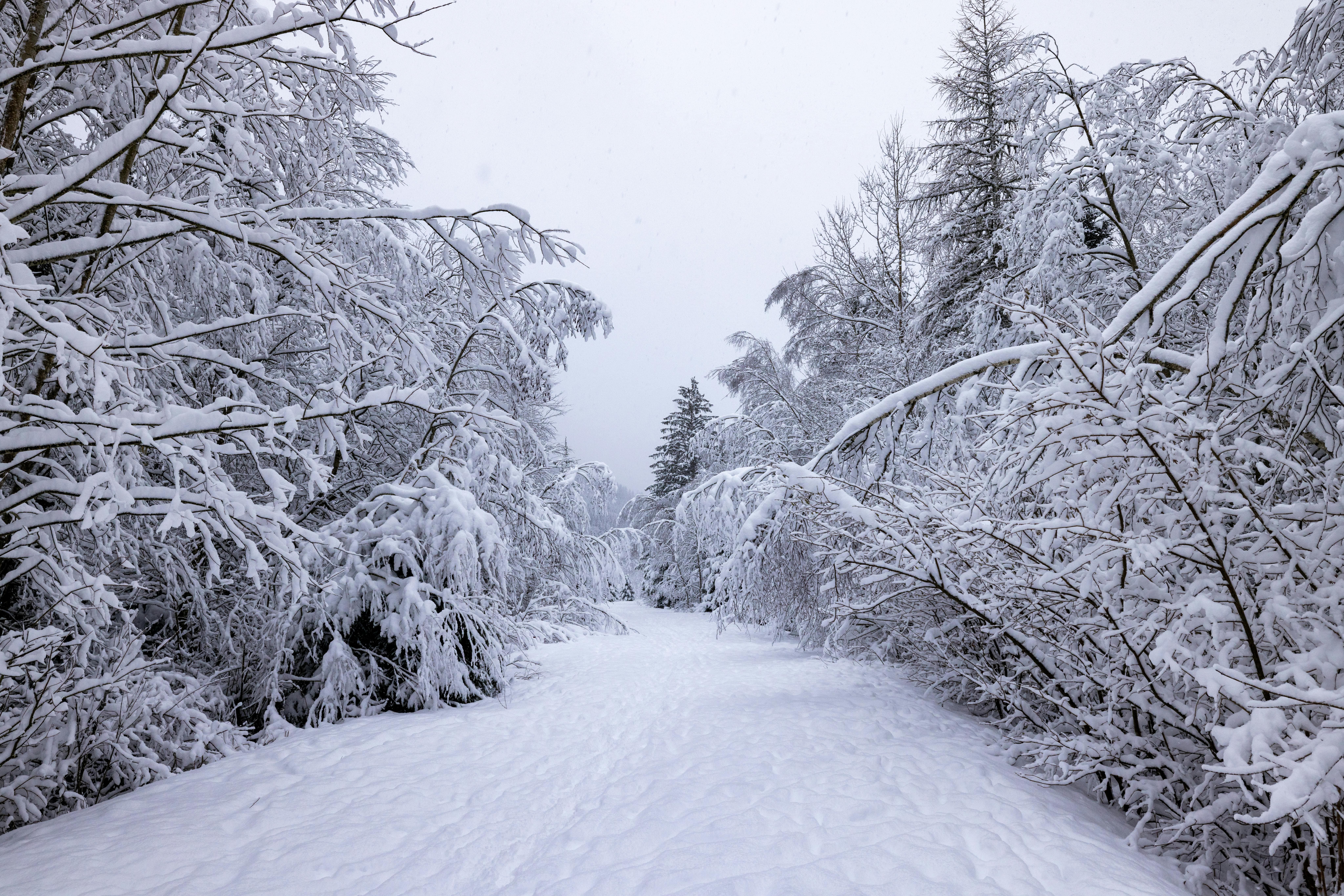 Walk the Winter Photography Trails