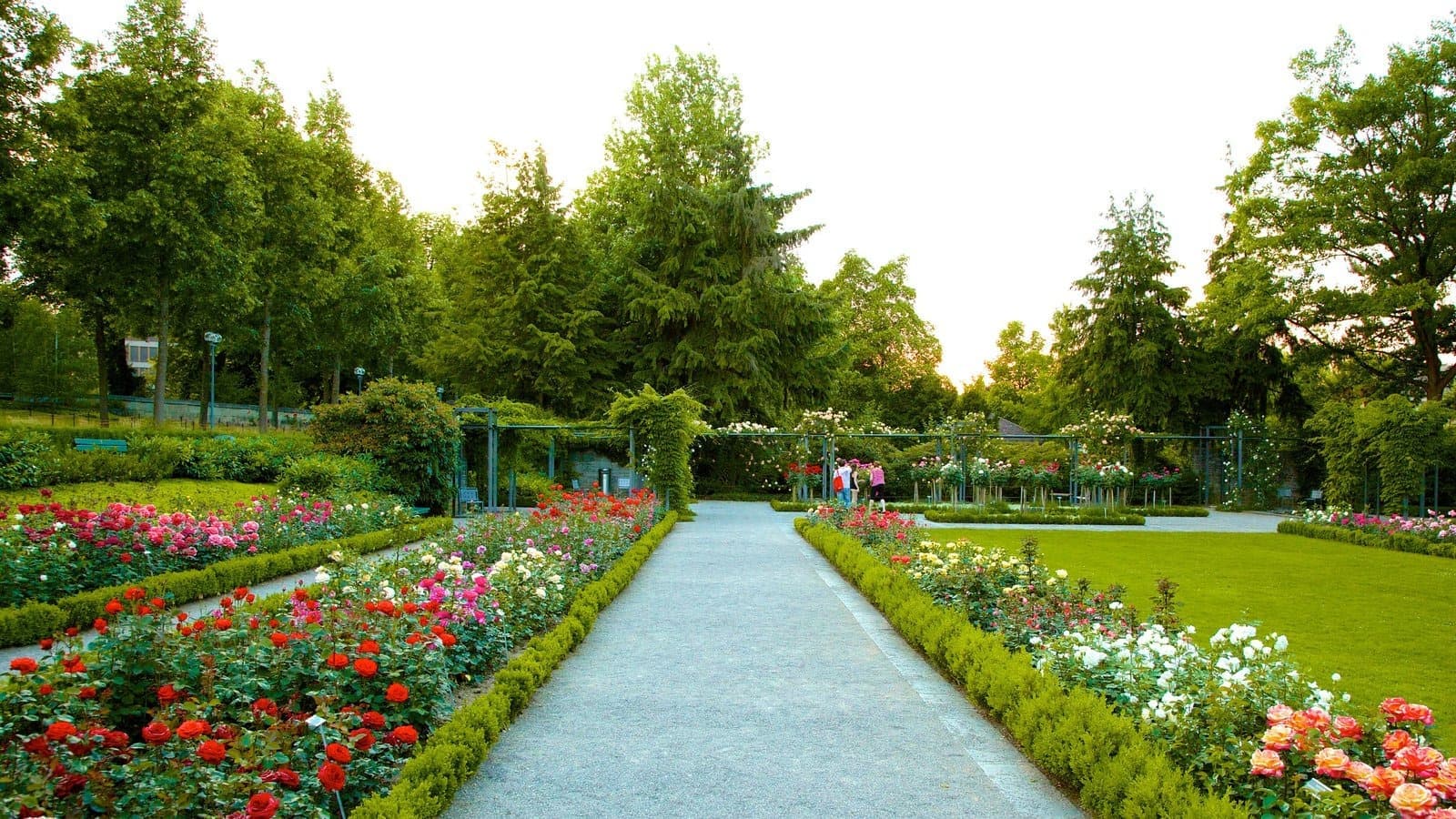 Rosengarten (Rose Garden)