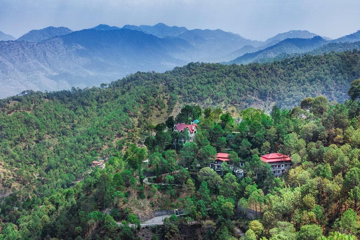 Kasauli 