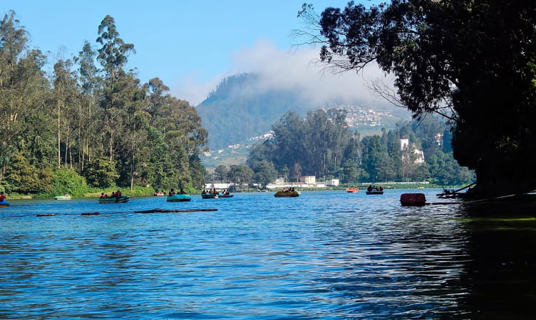 Ooti Rusk Ooty in December - Places to Visit, Things to Do & Travel Guide