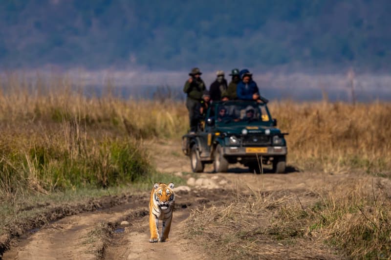 Jim Corbett National Park, Uttarakhand