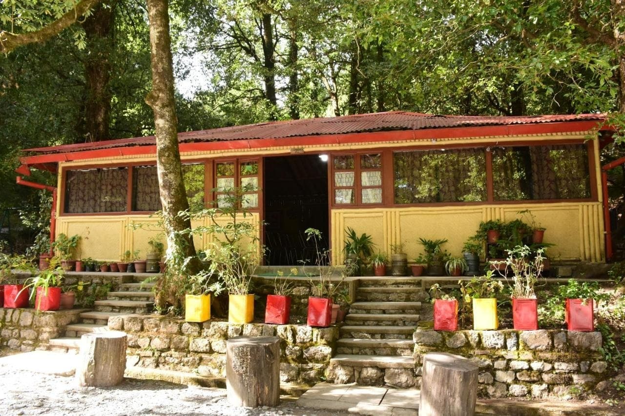 Forest-Themed New Year Celebration at Ayar Jungle Resort